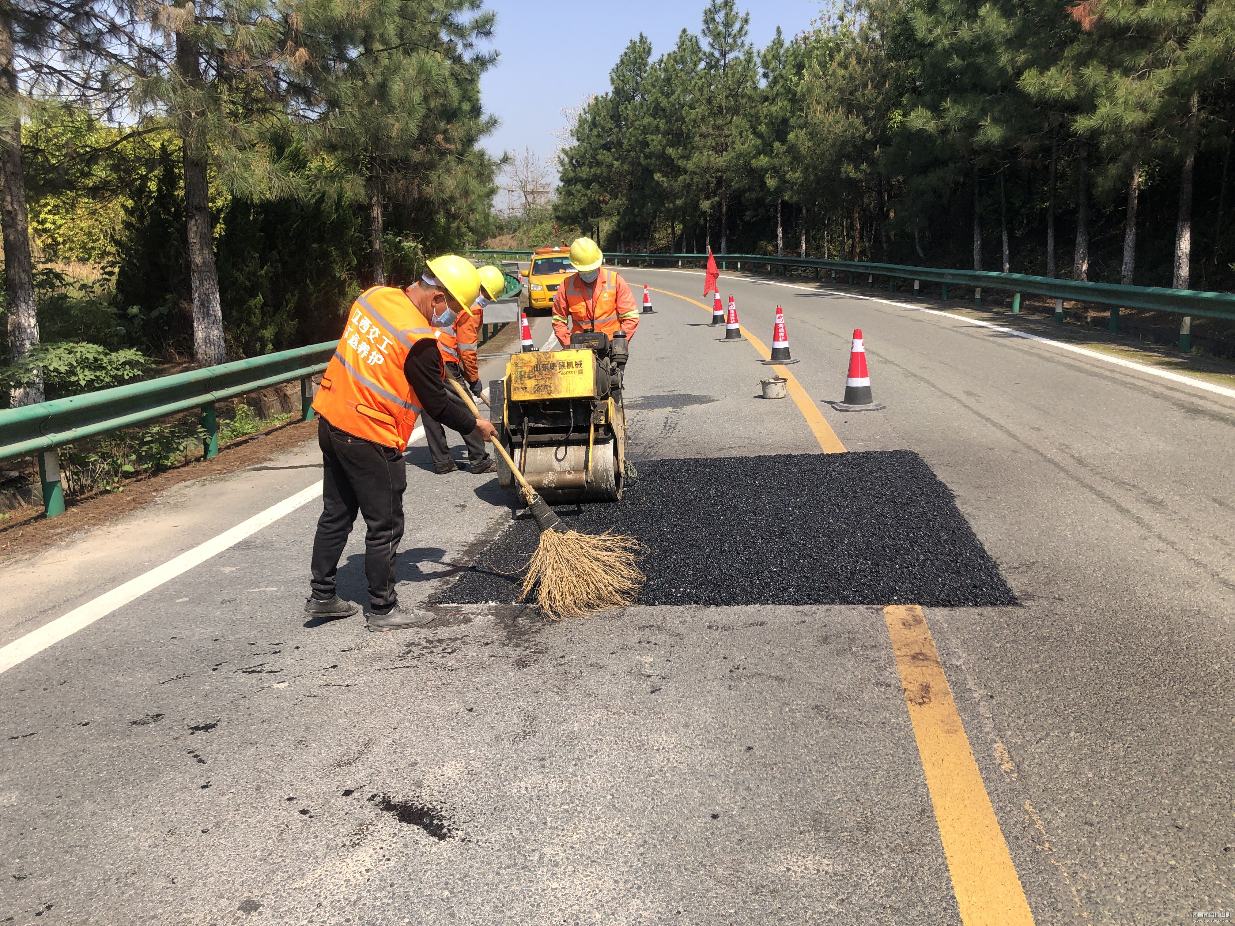 春日养护正当时